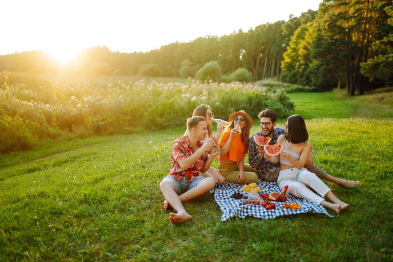 Picnic with Friends